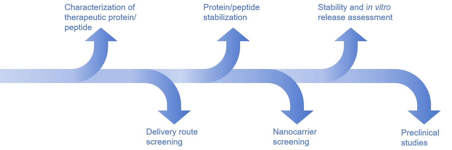 Fig. 1 Workflow for proteinsp/peptides nano delivery system development.