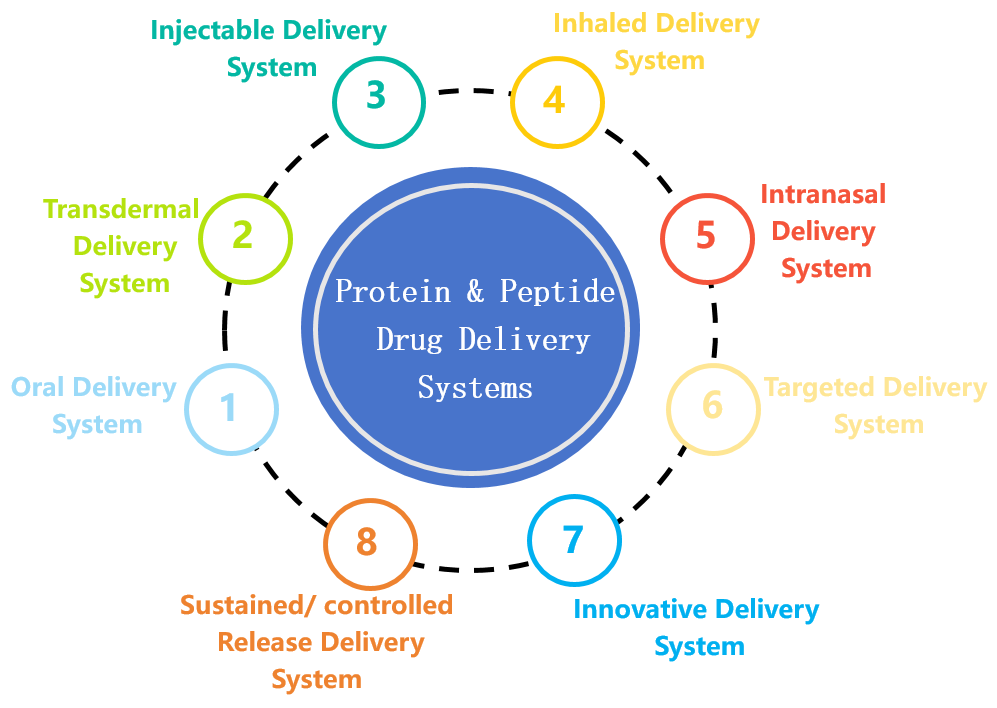Fig. 2 Proteins & peptides drug delivery system development services.