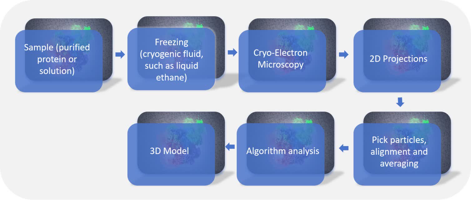 Fig. 2 Cryo-EM for protein/peptide structure elucidation.