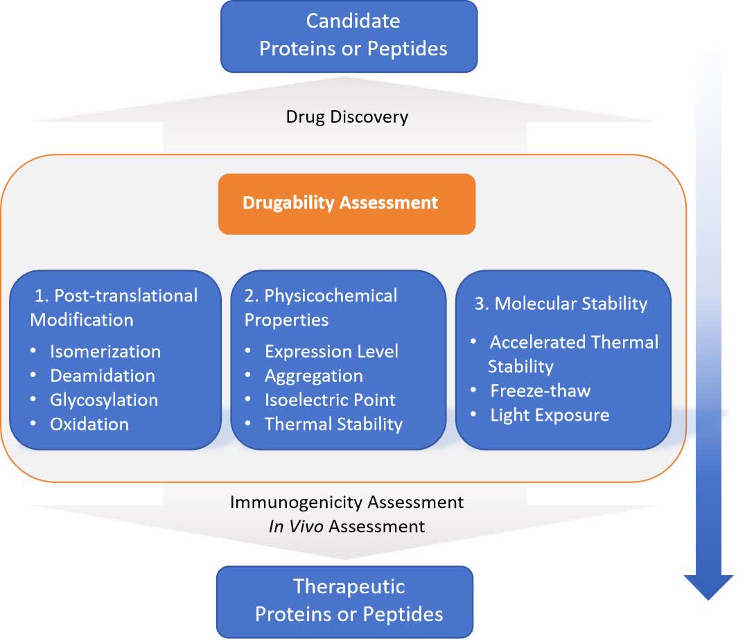 Fig. 2 Protein/peptide druggability assessment.