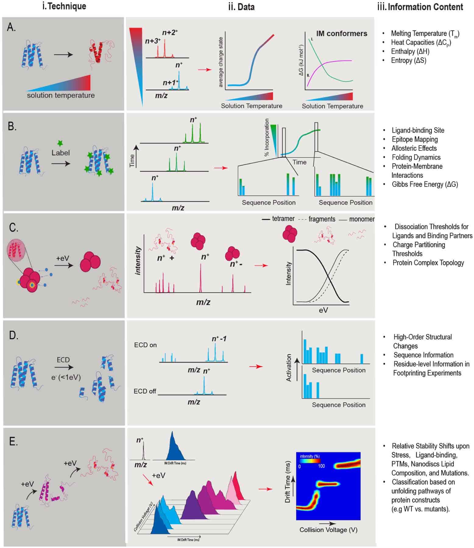 Fig. 3 Protein Conformational Stability Measurements.