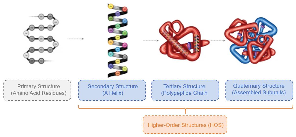 Fig. 1 Higher-order structures (HOS).