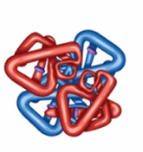 Fig. 4 Quaternary structure.