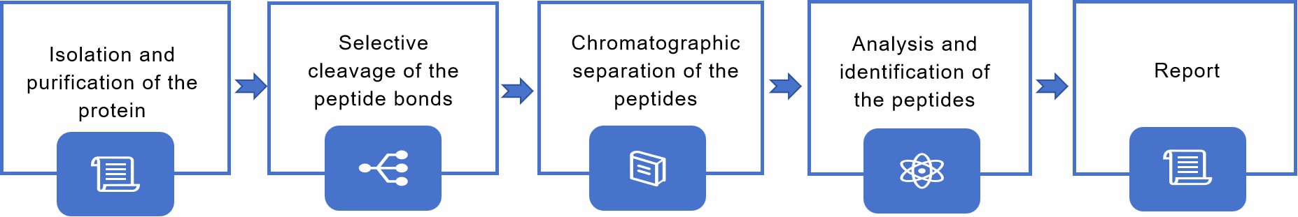 Fig. 1 Workflow of peptide mapping.