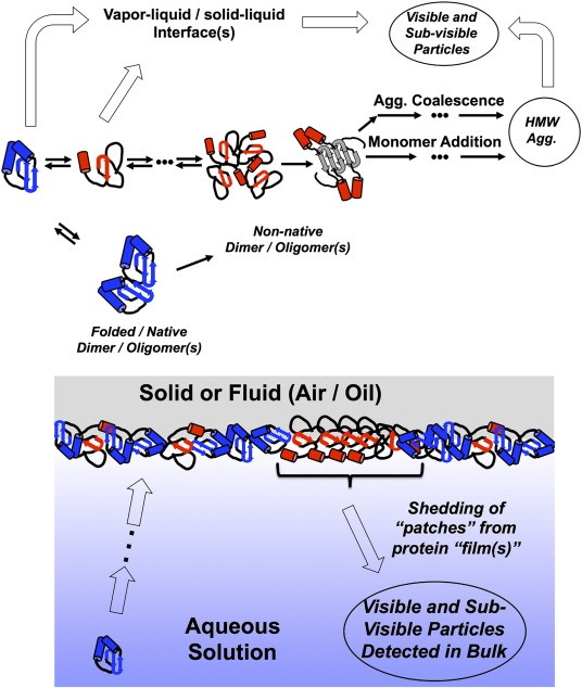 Fig. 1 Different analytical techniques for for characterization of protein and peptide drugs.