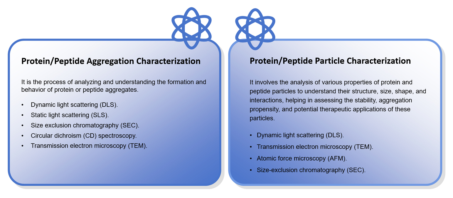 Fig. 2 Protein/peptide particle and aggregation characterization.