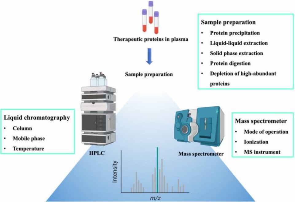 Fig. 1 Workflow in LC-MS/MS analysis of protein samples.
