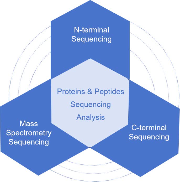 Fig. 1 Proteins/peptides sequencing.