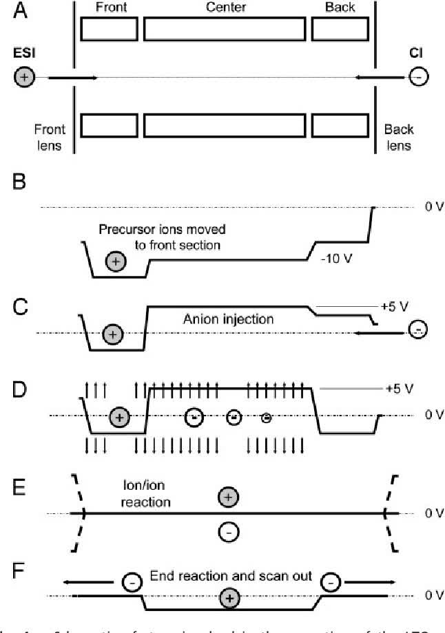 Fig. 2 LTQ mass spectrometer for peptide sequence analysis by ETD.