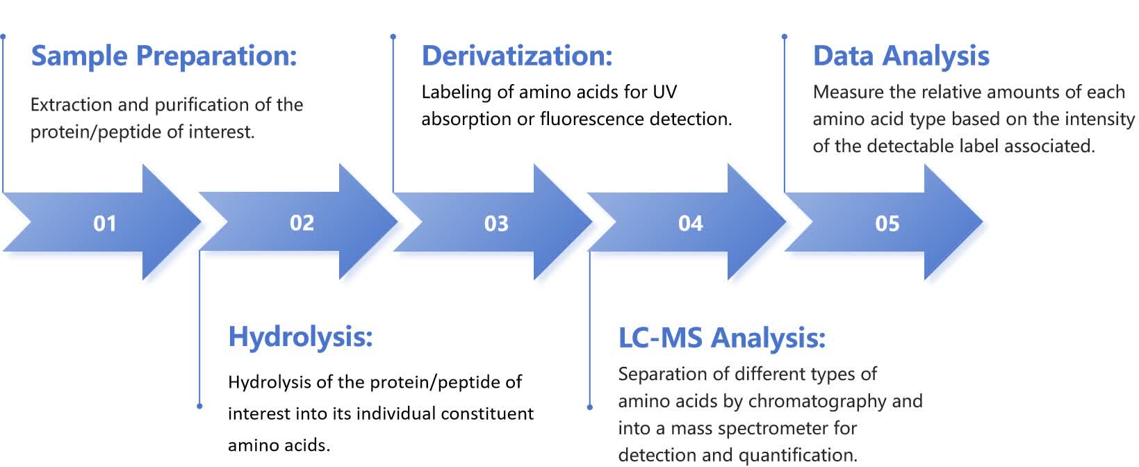 Fig. 1 Workflow of amino acid analysis.