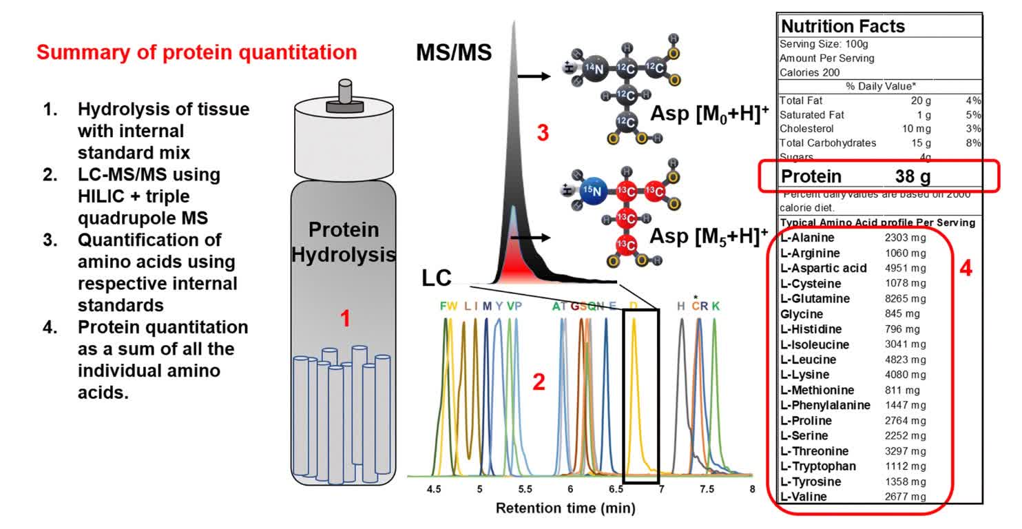 Fig. 2 Protein quantitation using amino acid analysis.