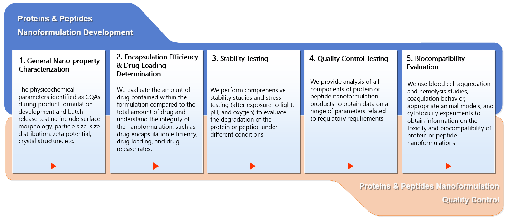 Fig. 1 Proteins/peptides nanoformulation characterization.