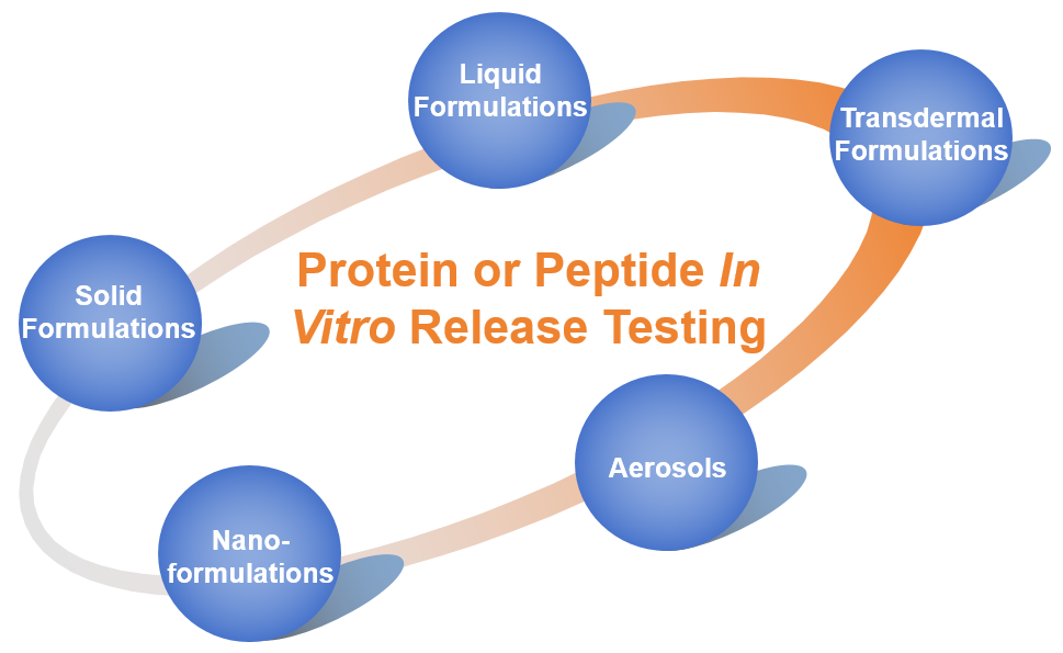 Fig. 1 Proteins or peptides IVRT services.