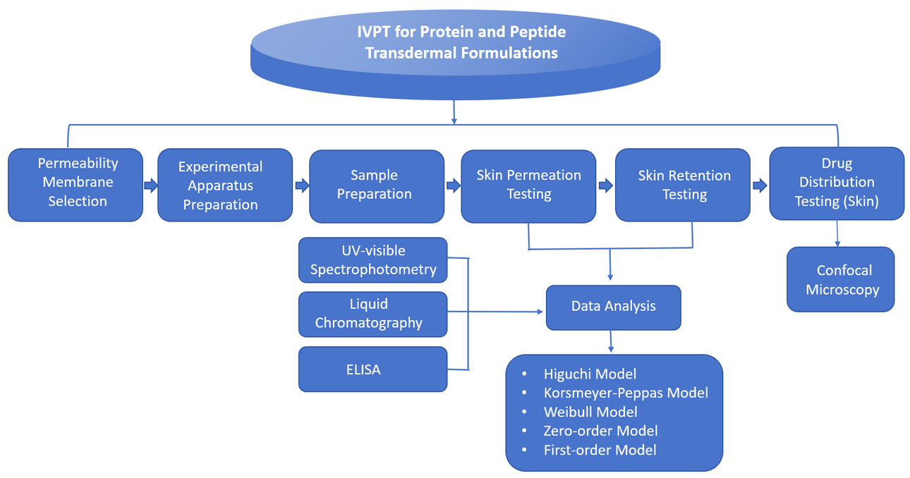 Fig. 1 Workflow of IVP.