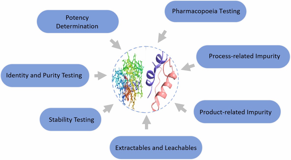 Fig. 1 Key indicators for protein/peptide analysis.
