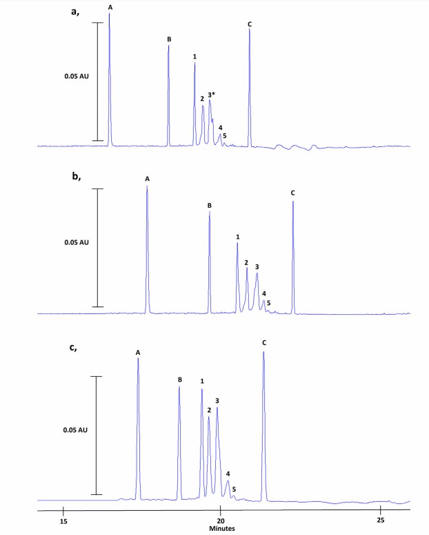 Fig. 2 Electropherograms.