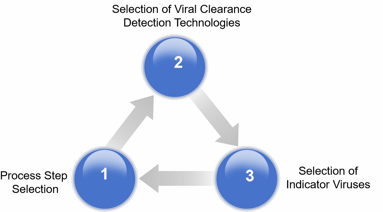 Fig. 1 Key factors for viral clearance studies.
