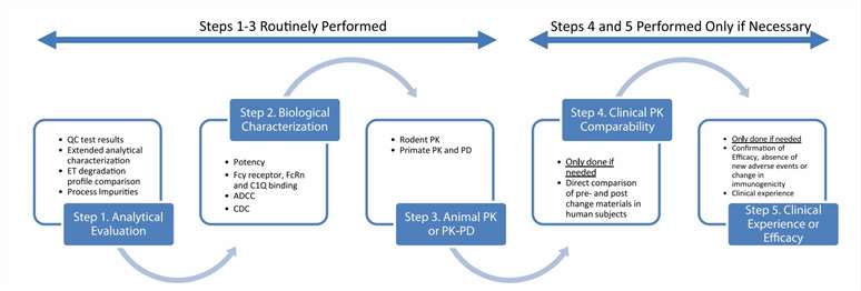 Fig. 1 Comparability assessment of a protein based drug candidate.