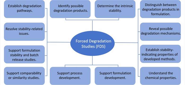 Fig. 1 Purpose of forced degradation studies.