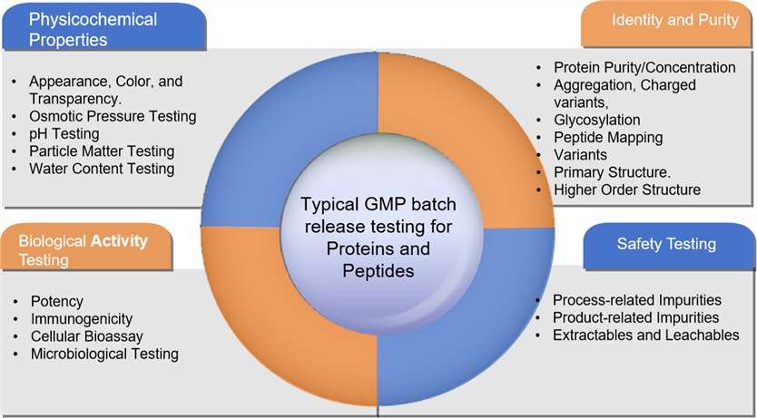 Fig. 1 Batch release testing programs for protein/peptide drug products.