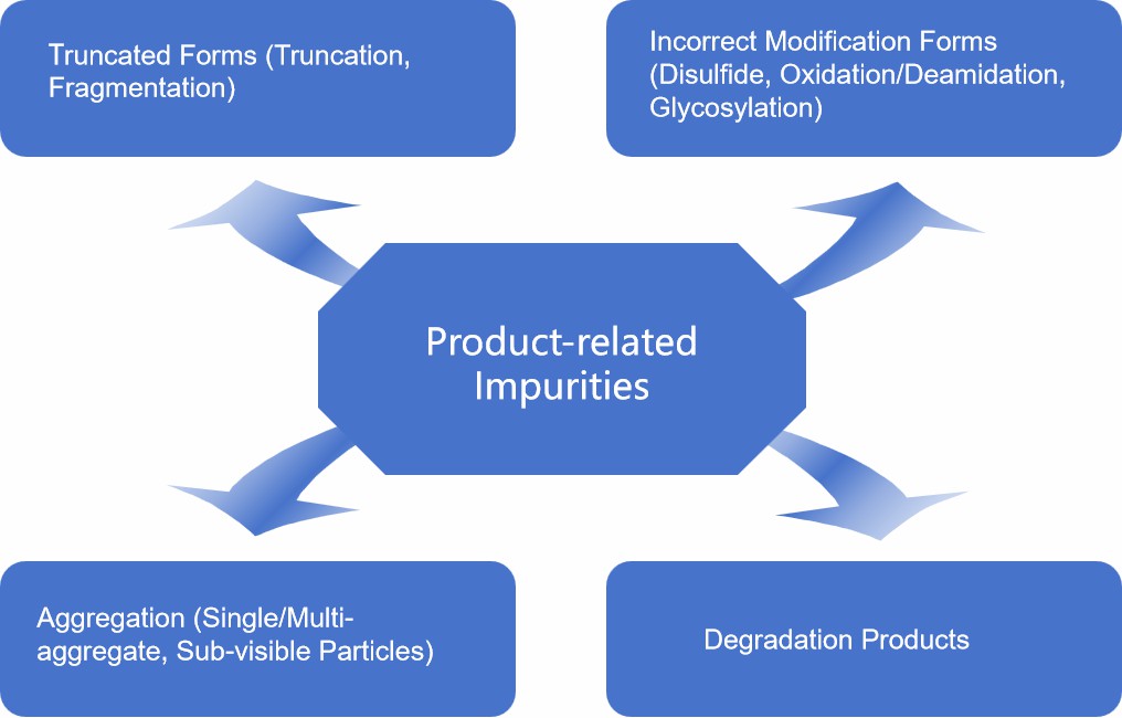 Fig. 1 Proteins/Peptides product-related impurity.