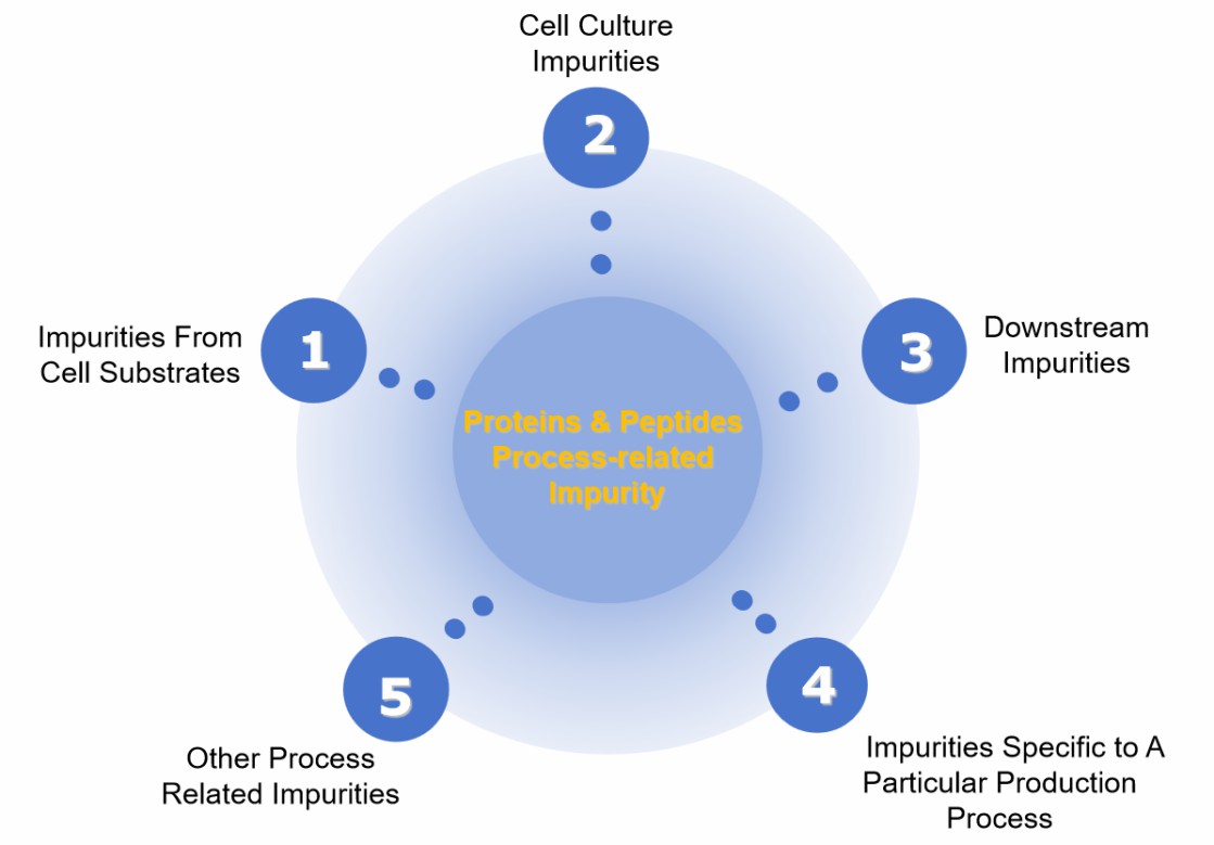 Fig. 1 Proteins/peptides process-related impurity.