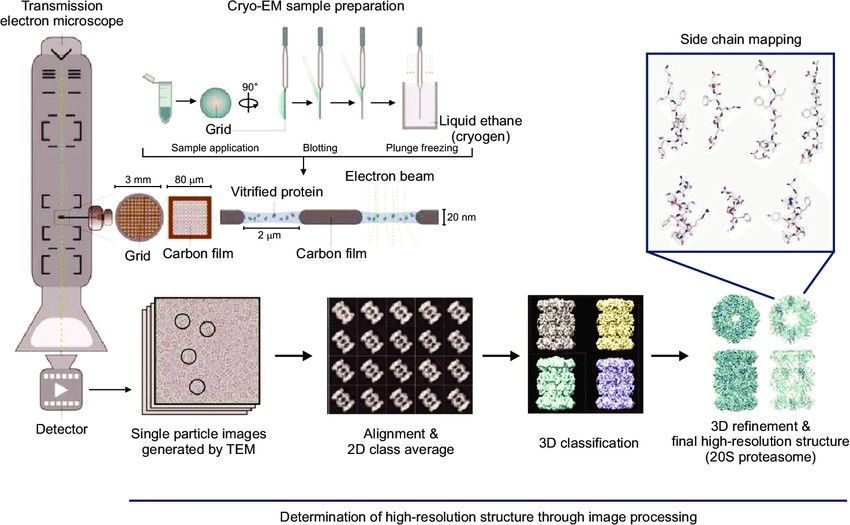 Fig. 1 Cryo-electron microscopy (cryo-EM).