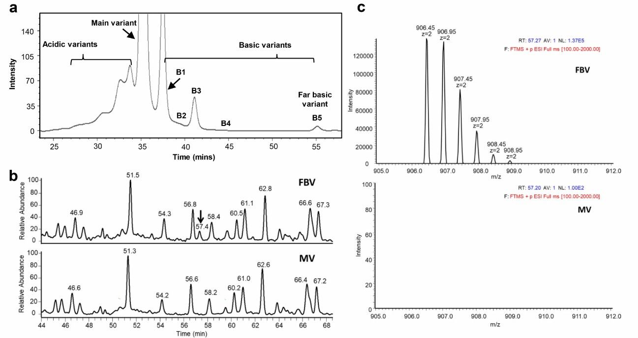 Fig. 2 MS sequencing workflow.