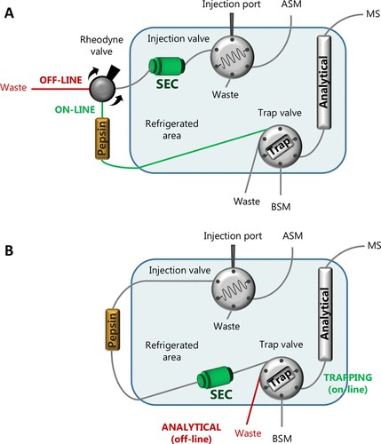 Fig. 3 Two SEC–HDX-MS configurations for bottom-up analysis.