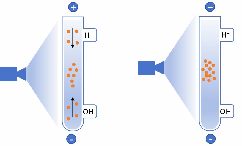 Fig. 1 Capillary isoelectric focusing (cIEF) principle.