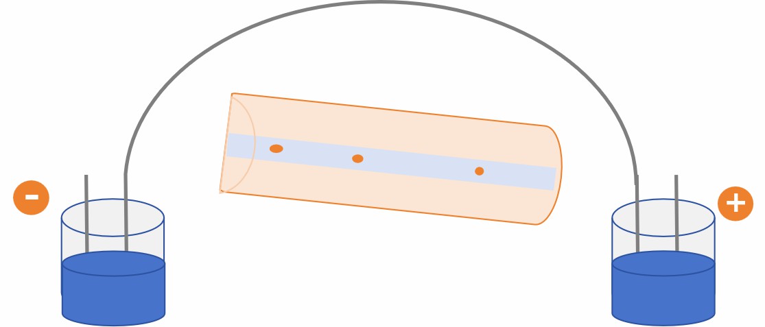 Fig. 1 Capillary gel electrophoresis (CGE).