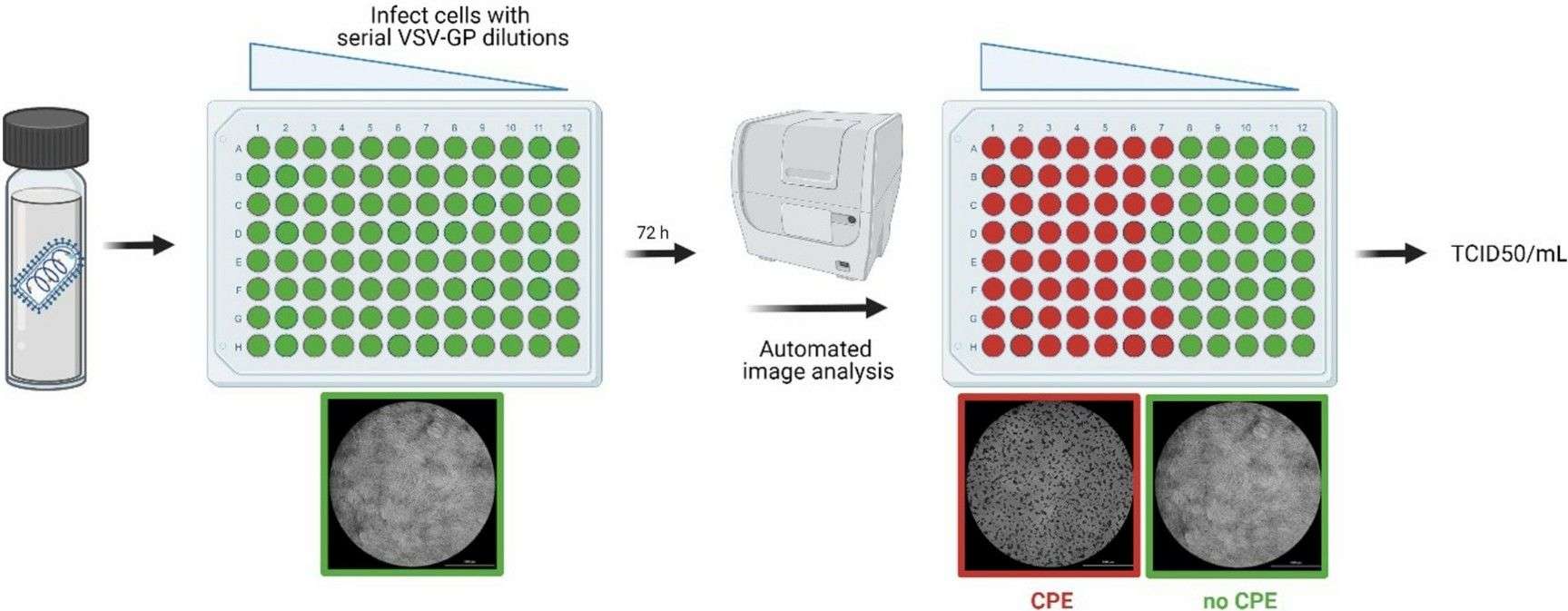 Fig. 2 SPR for determination of IFX and ATI concentrations in serum.