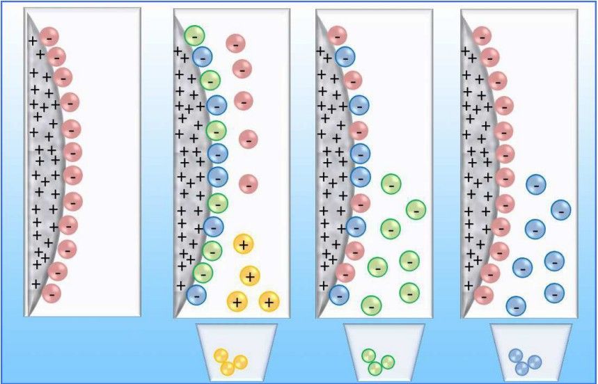Fig. 1 Ion exchange chromatography (IEX) principle.
