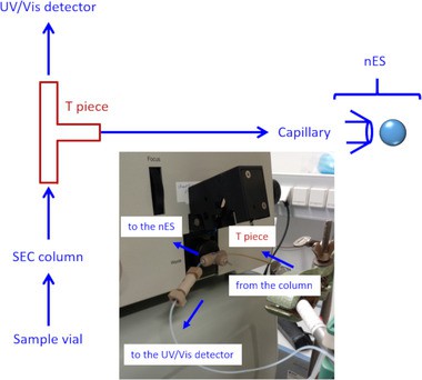 Fig. 2 Schematic drawing of the SEC–MacroIMS.