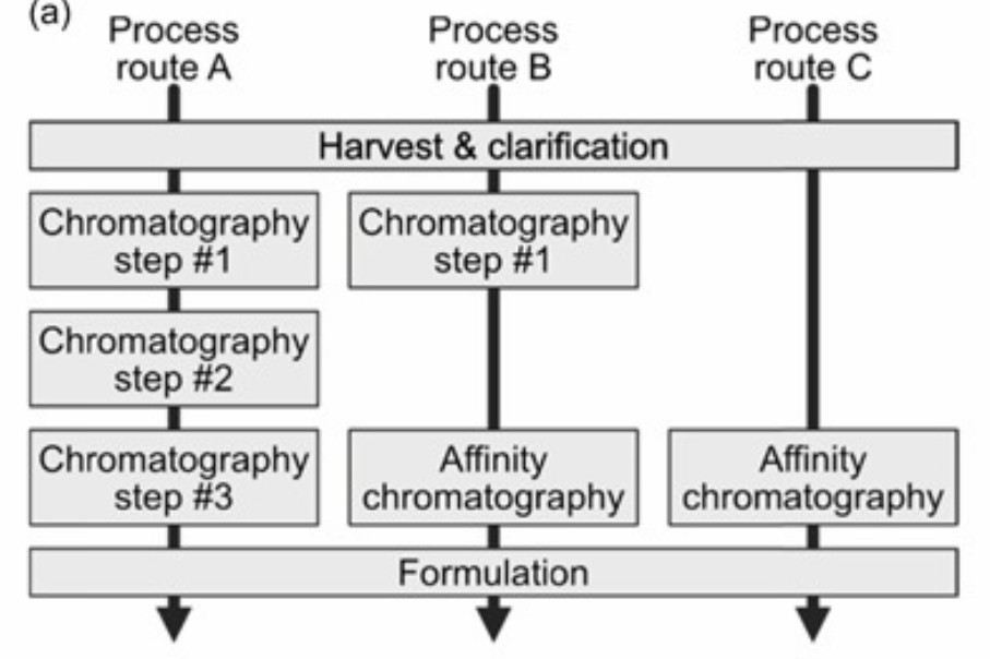 Fig. 2 Process routes.