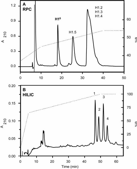 Fig. 2 Hydrophilic interaction/cation-exchange chromatography (HILIC/CEX).