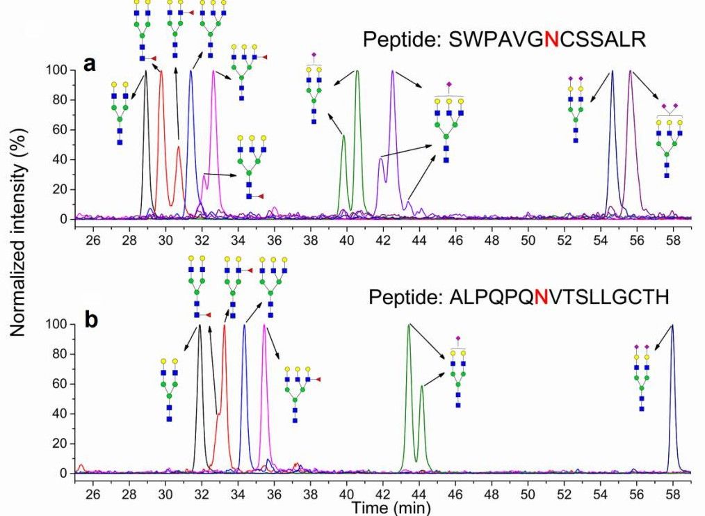 Fig. 3 The SRM chromatograms of peptides of hemopexin.