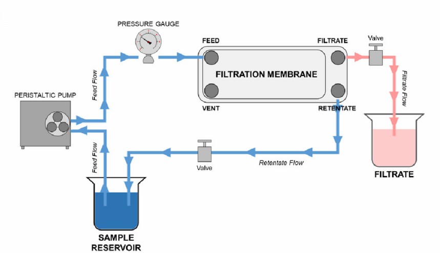 Fig. 1 Tangential flow filtration (TFF) system.