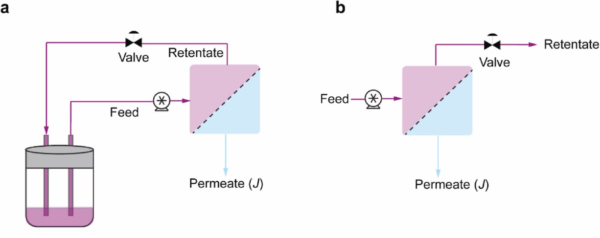 Fig. 2 Traditional TFF and SP-TFF.