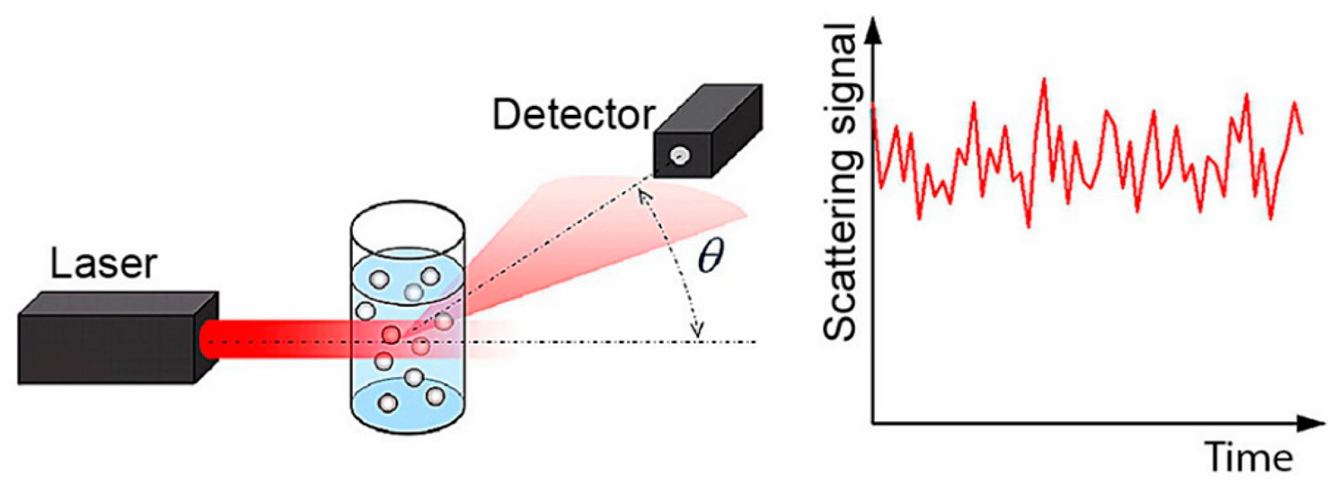 Fig. 1 Dynamic light scattering (DLS) principle.