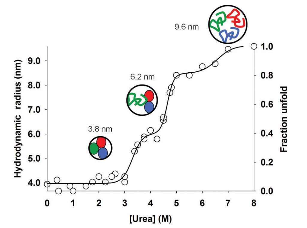 Fig. 2 Hydrodynamic radius of BSA by DLS.
