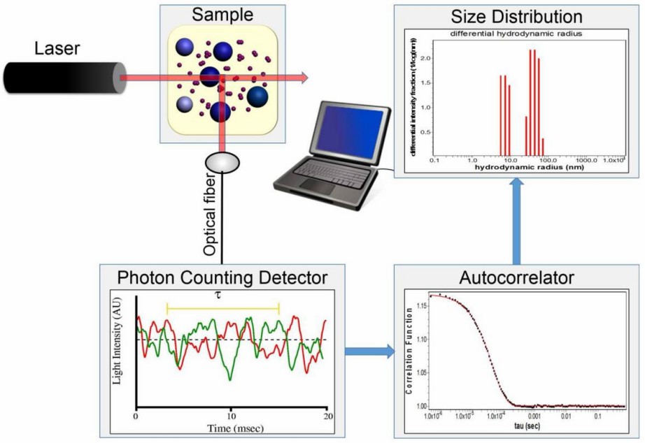Fig. 1 Multi-angle dynamic light scattering.