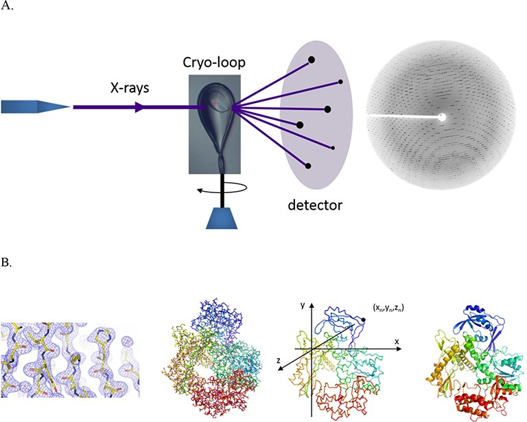 Fig. 1 The principle of X-ray diffraction.