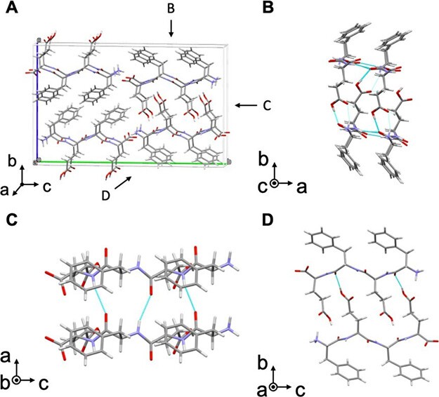 Fig. 3 Crystal structure of tetrapeptide.