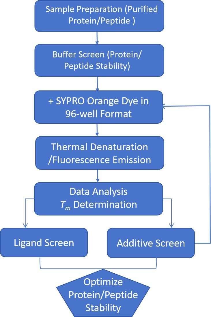 Fig. 2 Differential scanning fluorescence.