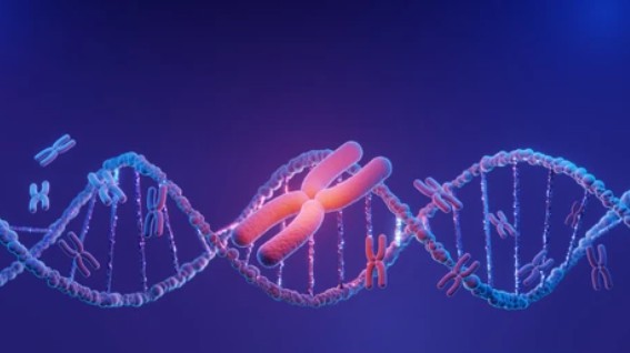 Cell-Free Expression Technology