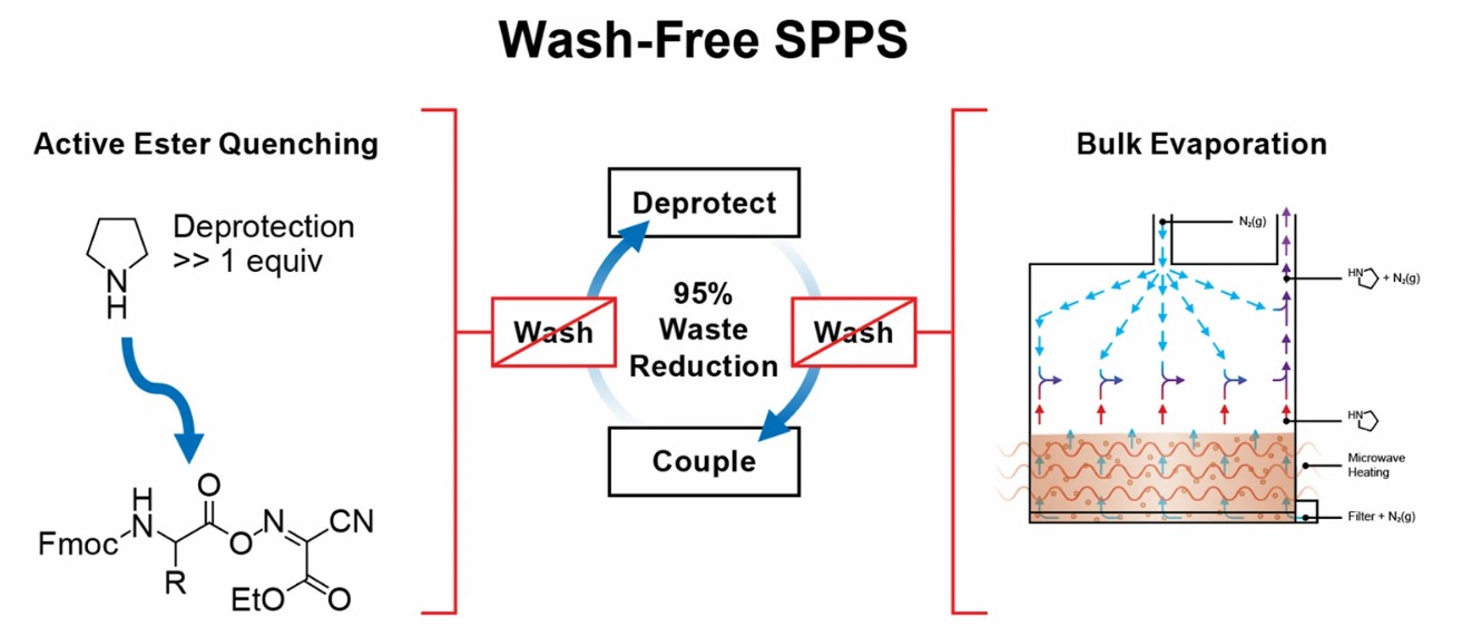 Fig. 2 SPPS process.