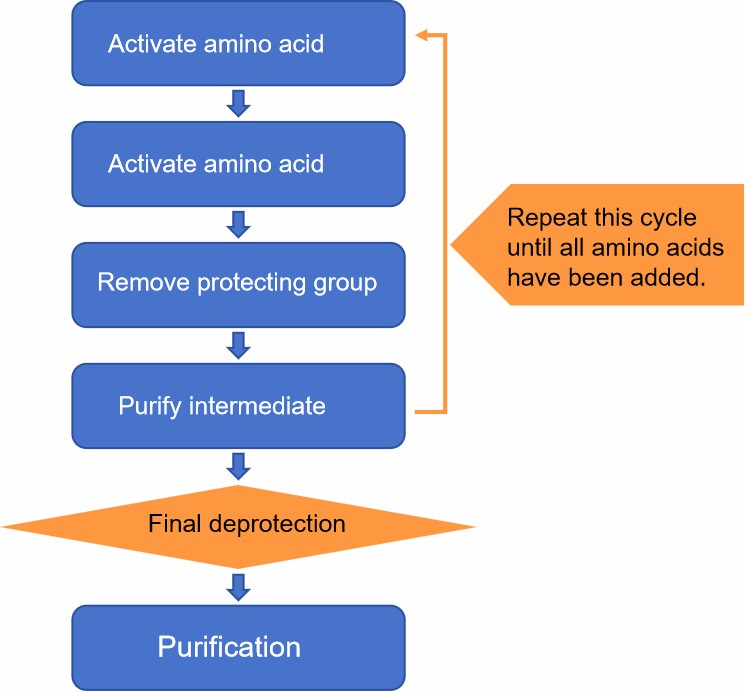 Fig. 1 Liquid phase peptide synthesis.