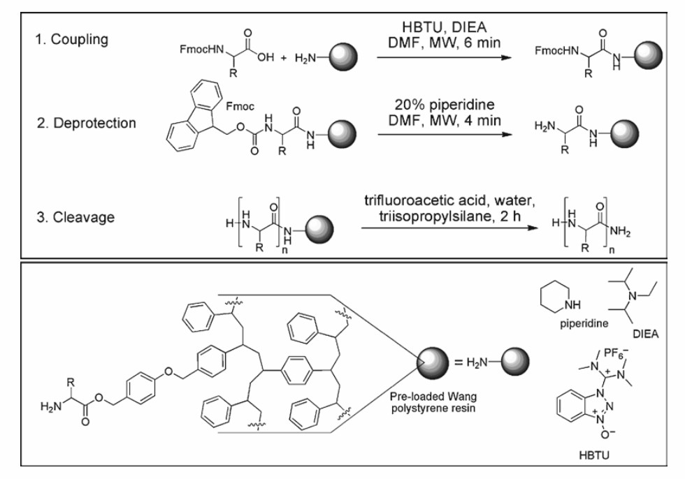 Fig. 1 SPPS reaction scheme (MW microwave irradiation)