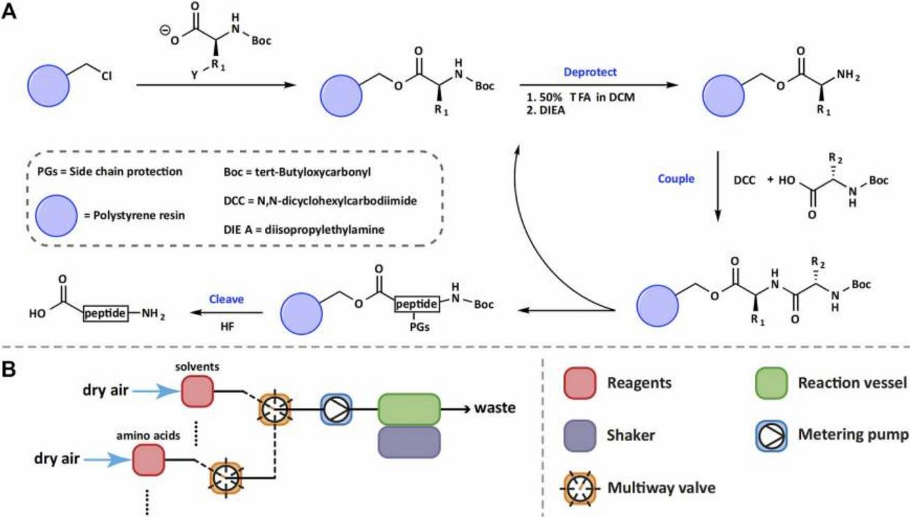 Fig. 1 Automated solid-phase peptide synthesizer.